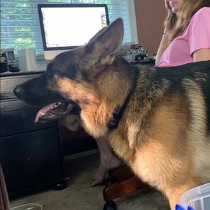 Meet your Posher, Jake